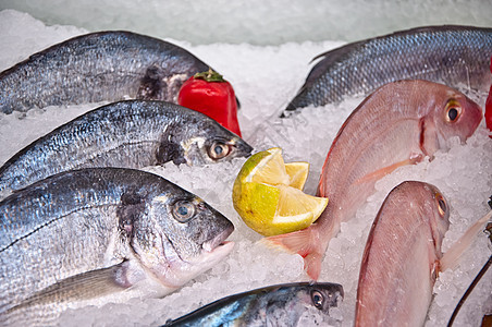 新鲜海鲜饮食乌贼食物盘子龙虾章鱼香葱柠檬市场营养背景图片