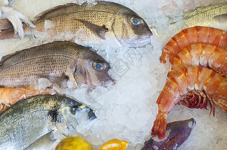 海食龙虾美食菜单营养食物盘子乌贼盐水章鱼饮食图片