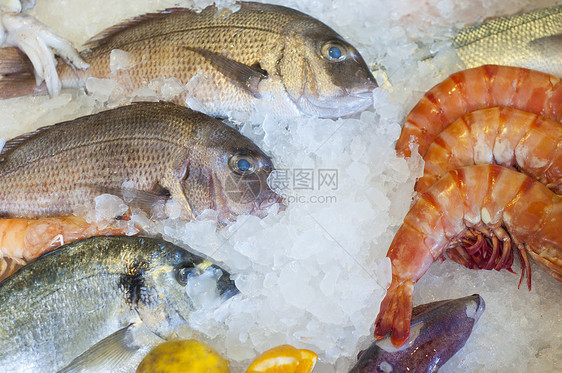 海食龙虾美食菜单营养食物盘子乌贼盐水章鱼饮食图片