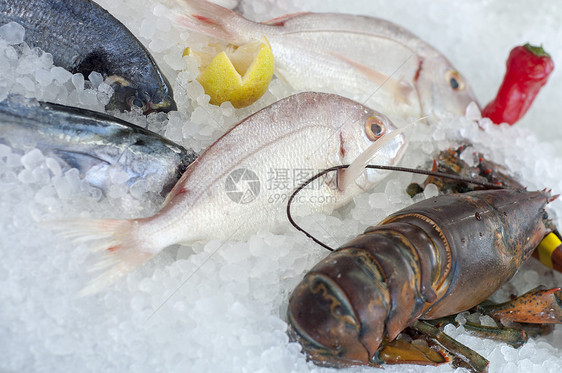 海食乌贼盐水营养盘子章鱼菜单食物贝类柠檬龙虾图片