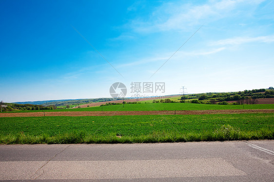 草地对着蓝天场地森林全景晴天天空场景树木土地牧场天气图片