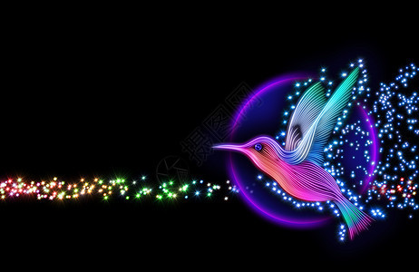 3d 里卜里鸟的转化  带恒星的蜂鸟流动运动飞行航班尾巴异国速度绘画动物群小鸟图片