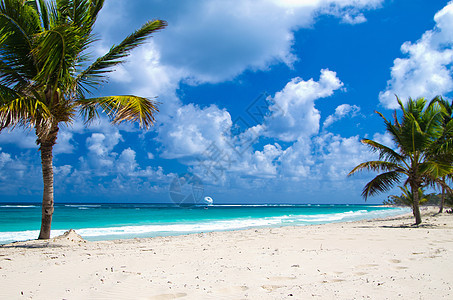 热带海洋海浪风景蓝色墙纸旅游海岸天气晴天场景天堂图片