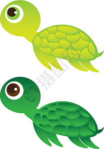 绿海龟夹子漫画手势乐趣数字动物园动物卡通片绘画乌龟图片