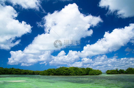 红红树沼泽反射海岸冒险旅游晴天植物气候叶子热带图片