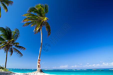 女人在沙滩上放松旅游海岸假期幸福棕榈季节闲暇天空海浪成人图片