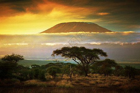 肯尼亚安博塞利的萨凡纳天空大草原旅行草原公园橙子野生动物顶峰国家衬套图片