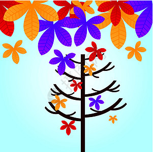 秋树树蓝色天空黄色木头橡木植物插图收藏环境棕色图片