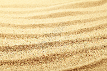 沙沙背景墙纸海岸材料热带粒状沙丘粮食沙漠褐色海洋图片