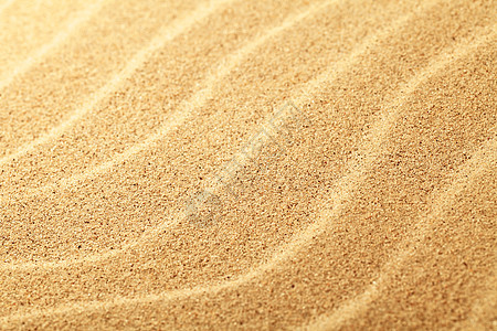 沙沙背景墙纸材料热带粮食粒状海岸假期褐色海洋沙丘图片