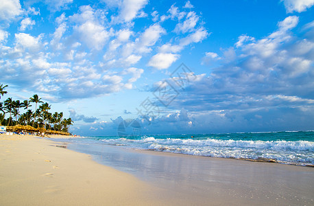 热带海洋海浪旅行棕榈气候蓝色假期太阳椰子阳光海景图片