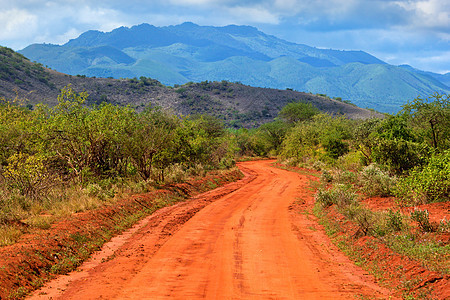 红地路和热带草原 肯尼亚 肯尼亚 非洲察沃西部丘陵地面土壤荒野泥路国家环境公园植物群蓝色图片
