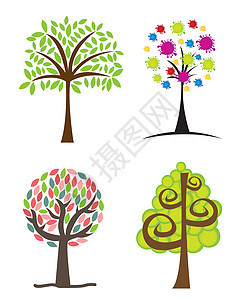 树木白色绘画公园绿色插图黑色环境植物植物学森林图片