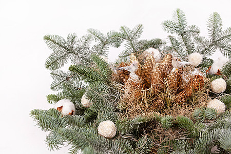 圣诞节装饰针叶展示针叶树云杉绿色锥体白色宏观篮子季节图片