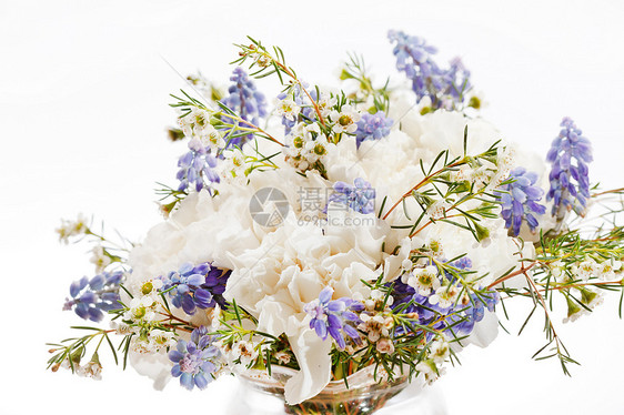 春花荒野花瓣母亲展示生长植物季节婚礼生活蓝色图片