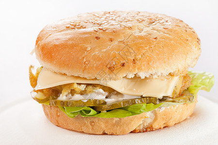 盘子里的芝士汉堡面包晚餐食物饮食营养沙拉午餐洋葱包子野餐图片