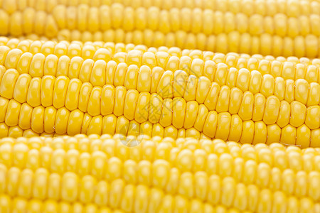 成熟黄玉米的背景背景棒子场地黄色耳朵内核水果绿色食物收成生活图片