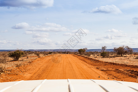 肯尼亚的沙漠野生动物卡车环境国家风景旅游橙子车辆场地图片