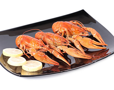 红煮龙虾食物动物茴香用餐工作室贝类甲壳奢华海鲜盘子图片