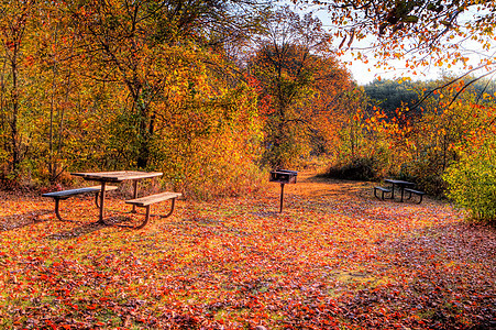 高动态区域野营区图像场地森林活力季节性植物群叶子草地颜色营地野餐图片