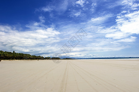暴风雨后的热带沙滩绿色海洋风暴天气植物地平线海岸蓝色场景天空图片