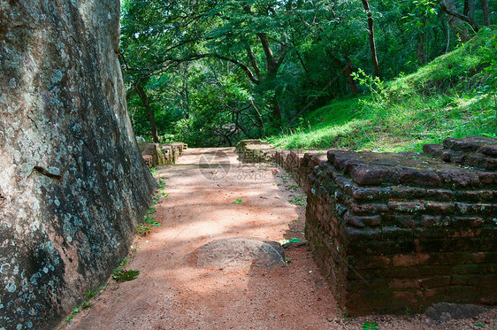 斯里兰卡 锡兰 西吉里亚废墟热带城堡历史性堡垒地标脚步考古学石头森林图片