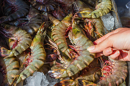 泰国市场上的虾虾和其他海产食品市场红色尾巴食物触手餐厅杂货店灰色美食团体摊位图片
