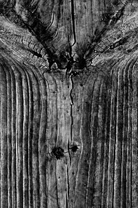 旧木板 老木板材料粮食装饰地面乡村硬木木材木头风格图片