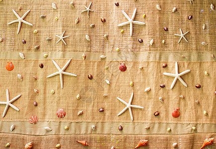 装饰布织物上的各种海壳海洋墙纸异国海岸天堂装饰品海景旅游情调海星图片