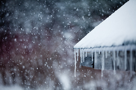 冰雪和暴雪图片