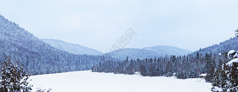 冬季冰冻的湖泊天空森林树木全景季节森林线柔光暴风雪桌面松树图片