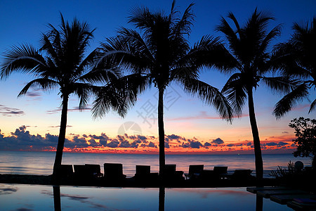 椰子树和海滩椅在黄昏(日出)时绕轮图片