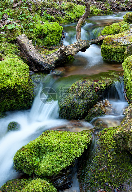 水流在岩石上季节流动环境叶子树木苔藓森林公园远足木头图片