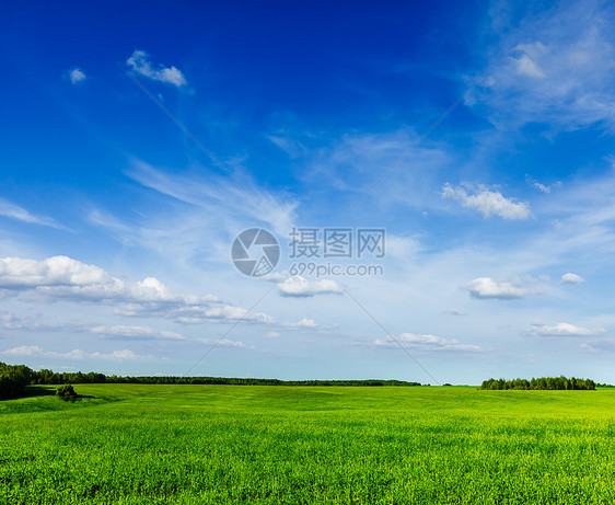 春夏夏季绿地风景场地森林田园草地植物日光绿色天空太阳概念图片