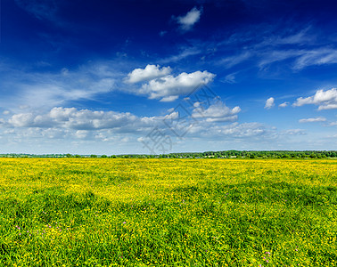 春夏夏季背景     开阔的田地草原日光绿色风景乡村风光植物太阳草地活力田园图片