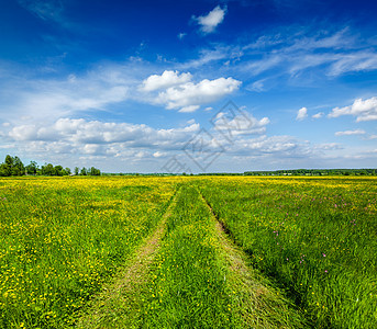 春夏夏季     绿色田地的农村道路图片