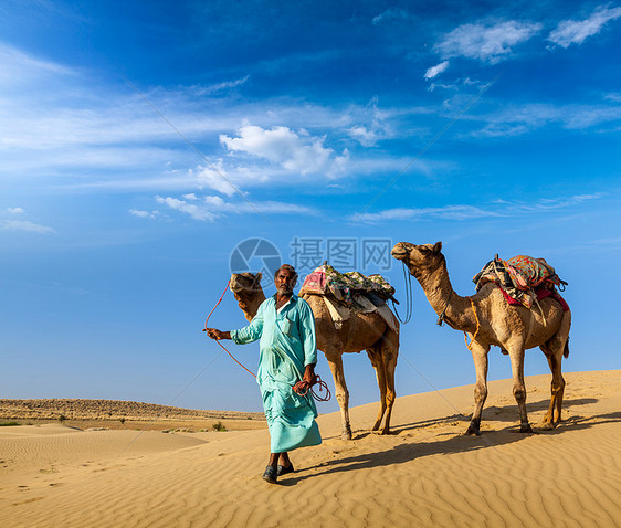 Cameleer骆驼司机和骆驼在Thar沙漠的沙丘反刍动物旅行活动沙漠观光异国风景运输旅游男人图片