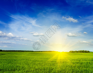 春夏夏季绿地风景天空田园风光草地场地晴天绿色乡村日光概念图片