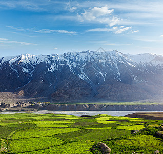 斯皮提谷农业山脉房屋花园横向房子住宅风景大厦园林图片