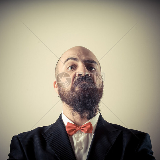 风趣优雅的长胡子男子人士表情工作室男人脱发男性红色夹克秃顶领带图片