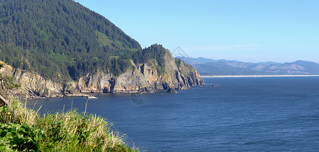 猎鹰角对俄勒冈海岸全景的看法悬崖地平线岩石植物树木微风旅行探索动物群森林图片