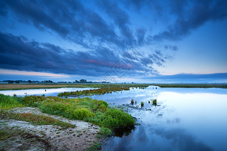 日出在沼泽上风景蓝色农村野花荒野天空反射地平线图片