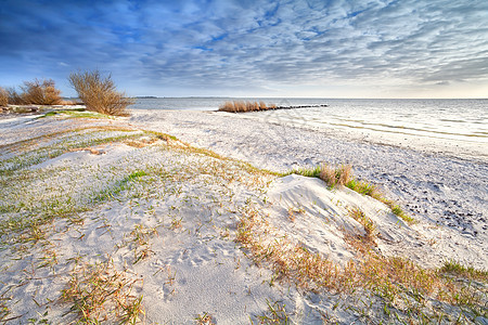 沙滩上的沙丘绿色风景晴天阳光天空白色海浪海岸蓝色空气图片