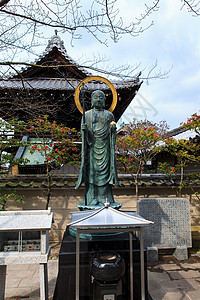 高台寺庙季节禅师公园遗产风景建筑树叶地标旅行池塘图片