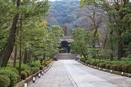 高台寺庙季节遗产地标花园禅师公园池塘树叶旅行风景图片