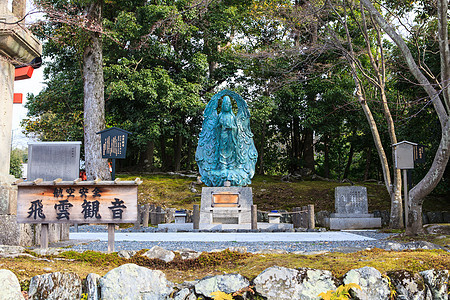 林山的天龙二津寺宗教地标寺庙佛教徒旅行花园建筑观光旅游建筑学图片