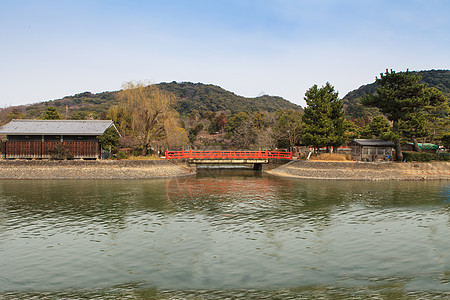 水面上的红桥树木小路行人农村人行道花园绿化风景公园灌木丛图片