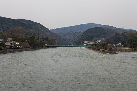 水面上的红桥人行道花园叶子池塘灌木丛天桥分支机构园林风景树木图片