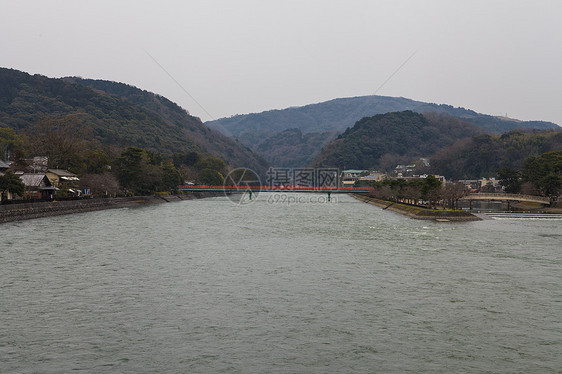 水面上的红桥人行道花园叶子池塘灌木丛天桥分支机构园林风景树木图片