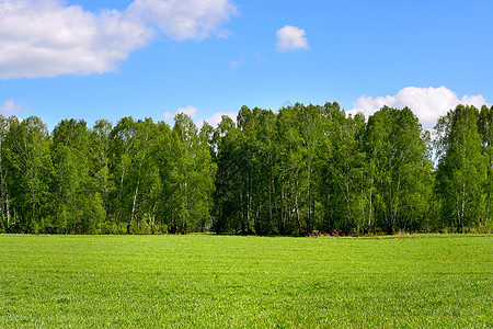 夏季风景天空环境农村场地国家蓝色天气季节森林阳光图片